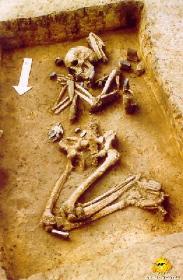 ŁódĽ » Muzeum Archeologiczne i Etnograficzne w Łodzi - zdjęcie - 7