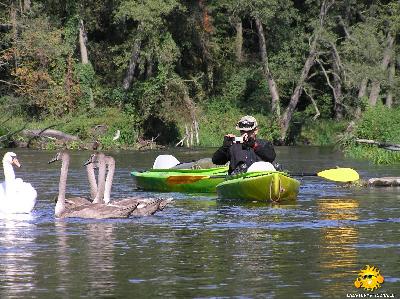 Brodnica » Spływy Drwęcą PPHU Paweł Urbański w Brodnicy - zdjęcie - 2